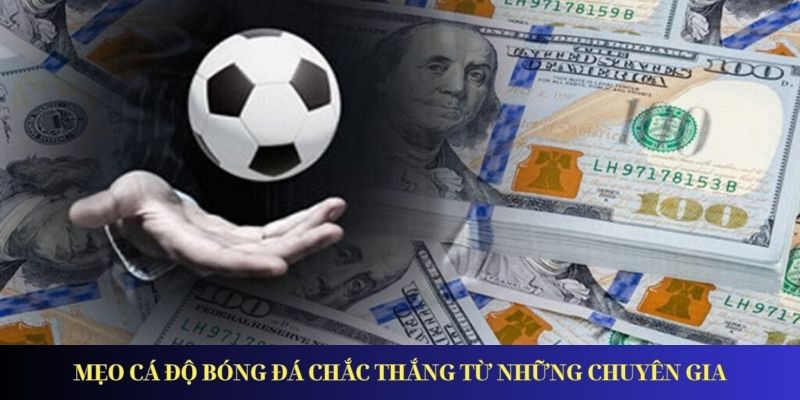 Cách Cá Độ Bóng Đá Chắc Thắng Từ Những Chuyên Gia_6926a572722f2.jpeg